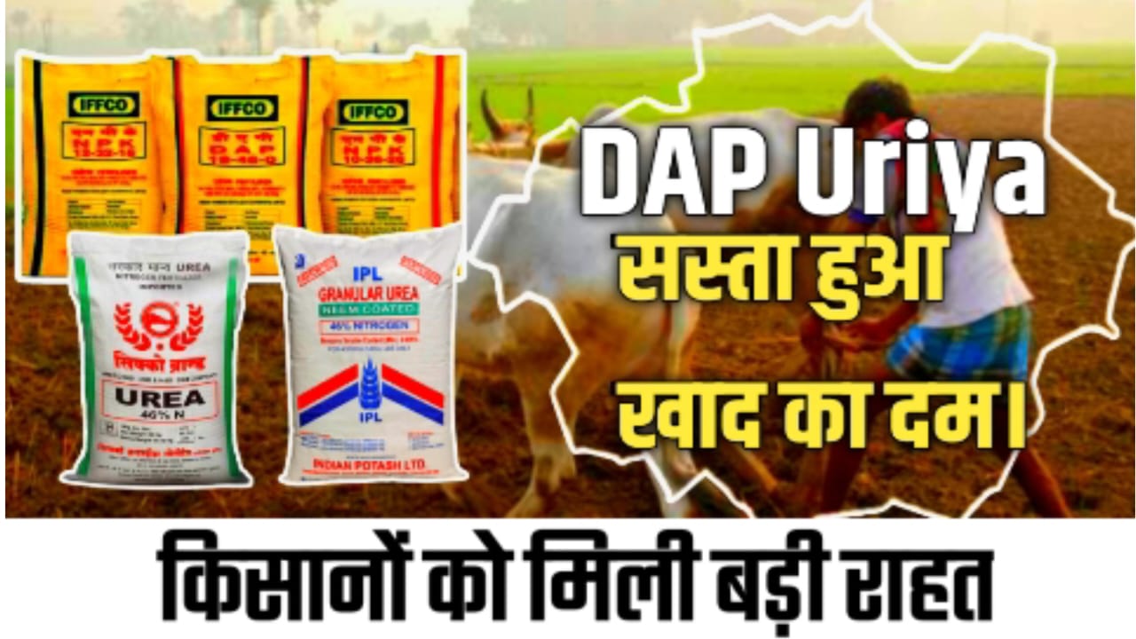 DAP Uriya Price 2025